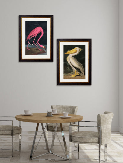 c.1838 Audubon's Flamingo – Dark – framed wall art at Leya Buster Interiors