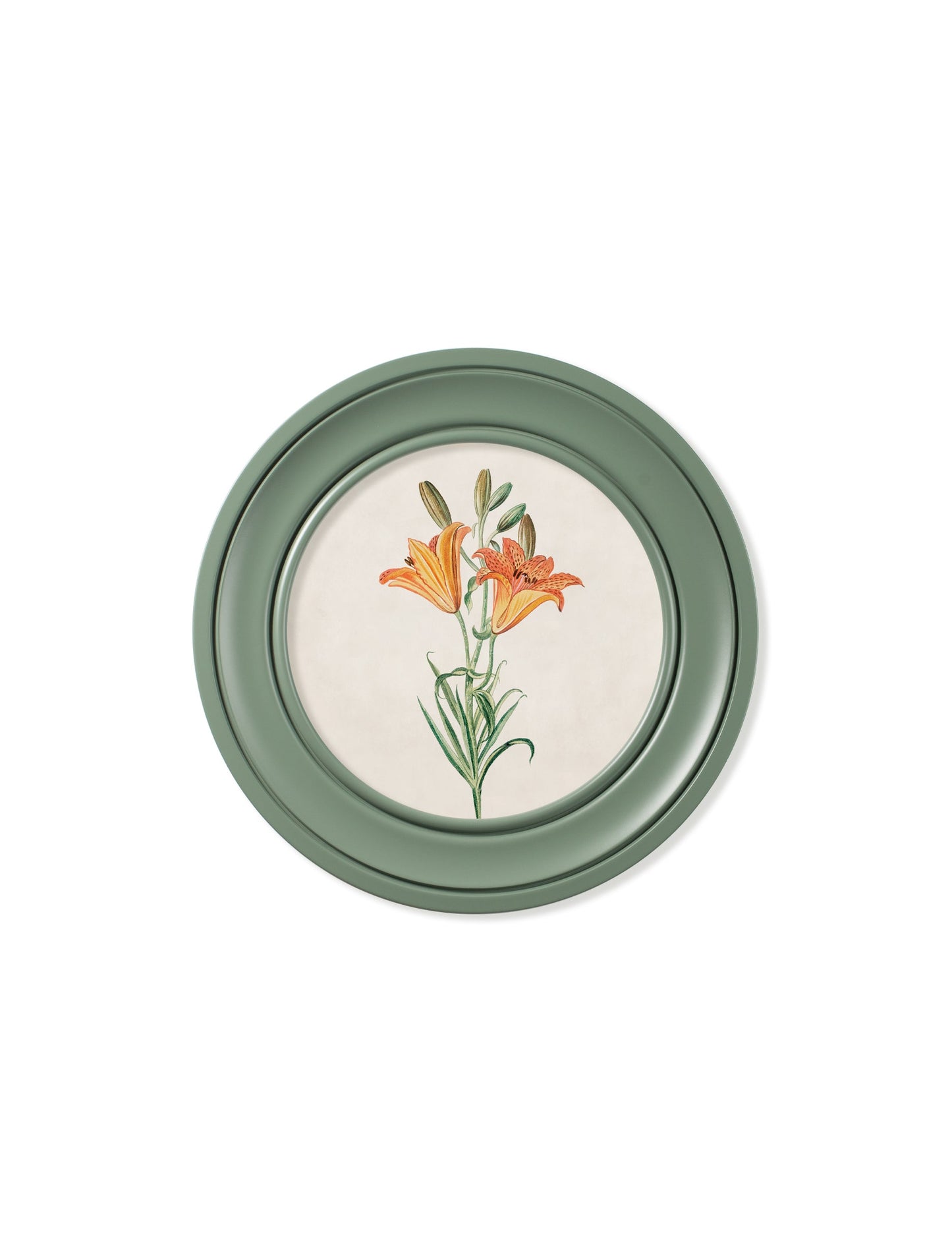 c.1780 Flowering Plants Round Frame Green styled view – Leya Buster Interiors