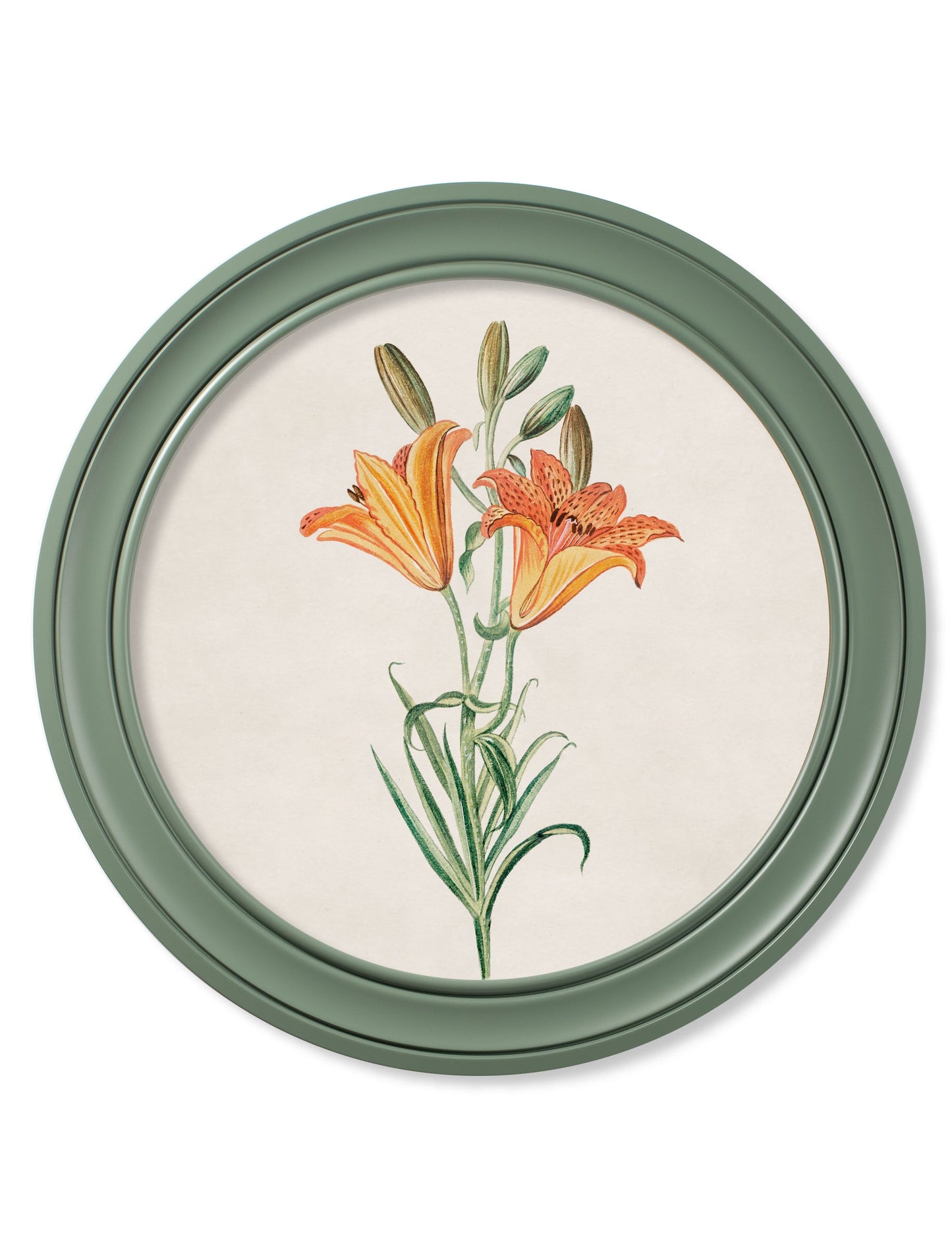 c.1780 Flowering Plants Round Frame Green styled view – Leya Buster Interiors