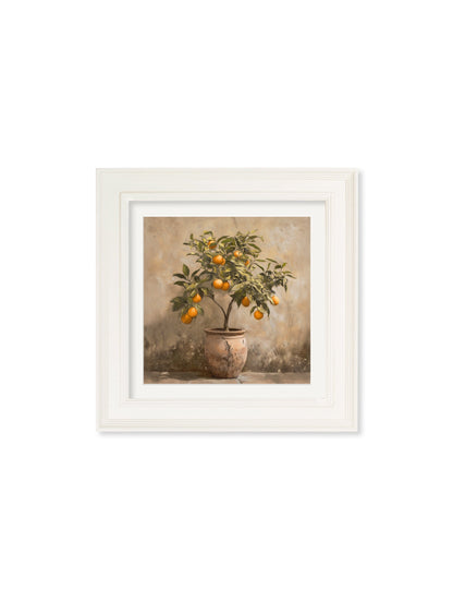 Mediterranean Orange Tree – Cream Hurstwood Square Frame styled view – Leya Buster Interiors