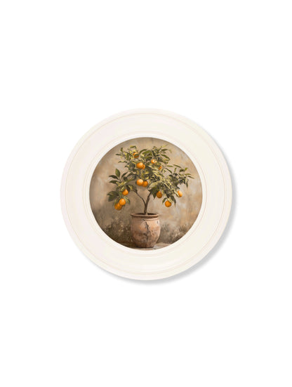 Mediterranean Orange Tree – Oxford Strong White Round Frame styled view – Leya Buster Interiors