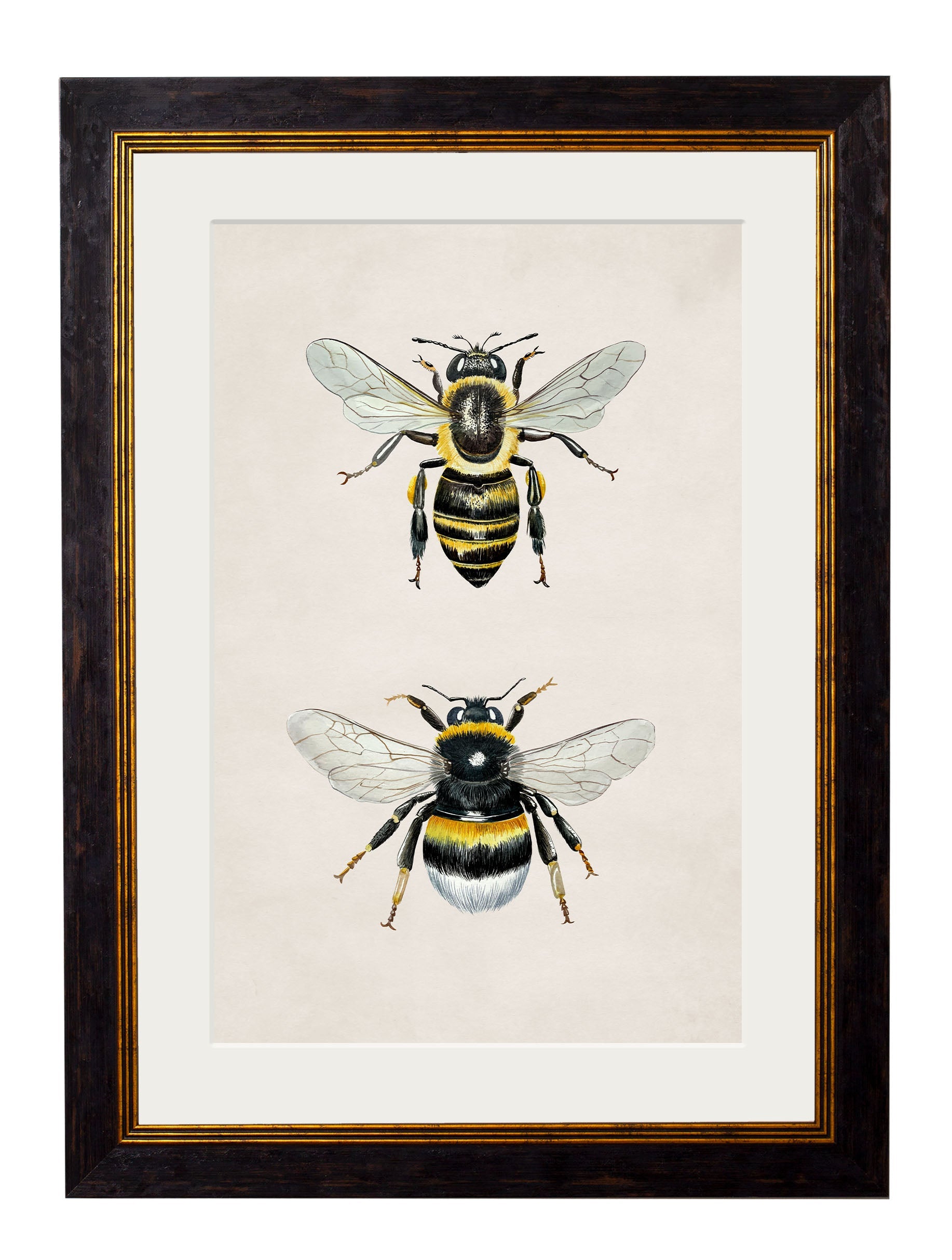 Honey and Bumble Bee detail – Leya Buster Interiors