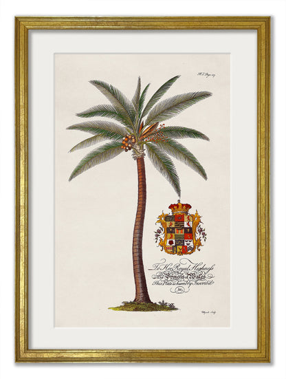 Studies of Palms styled view – Leya Buster Interiors