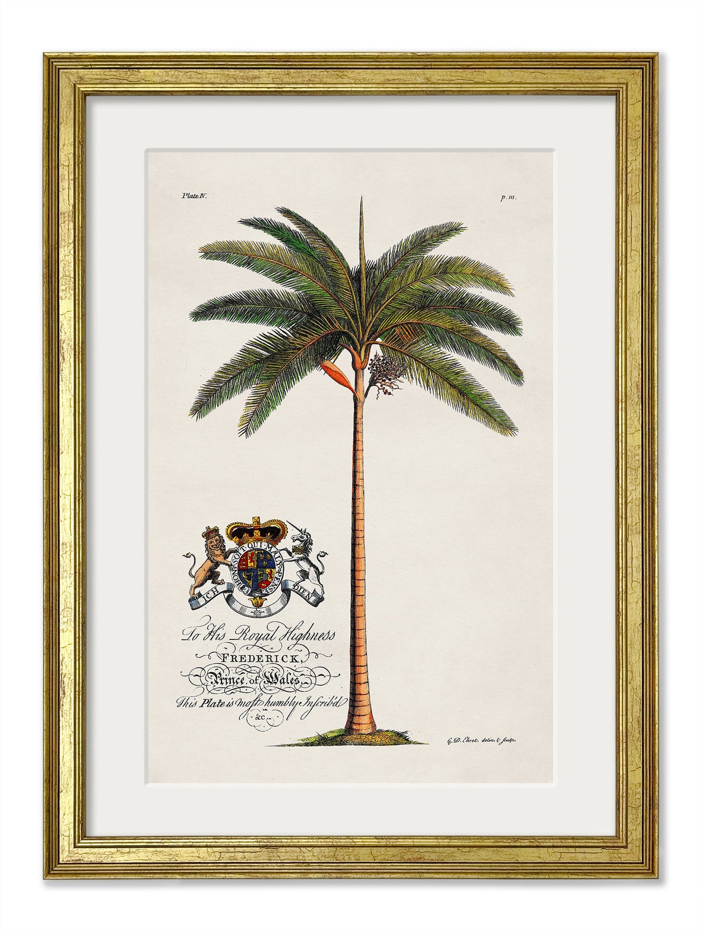 Studies of Palms styled view – Leya Buster Interiors