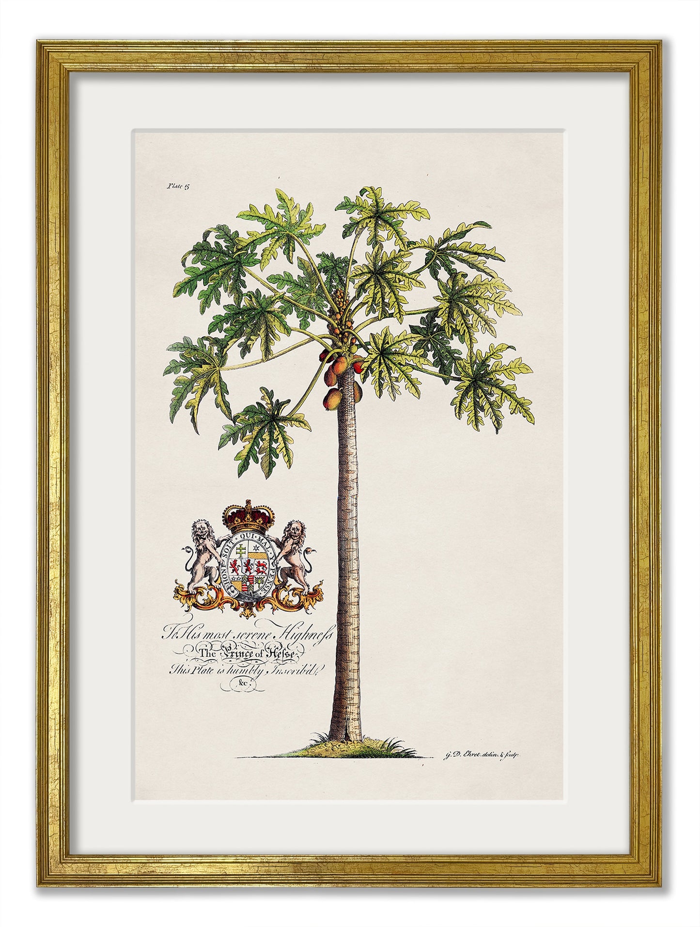 Studies of Palms styled view – Leya Buster Interiors