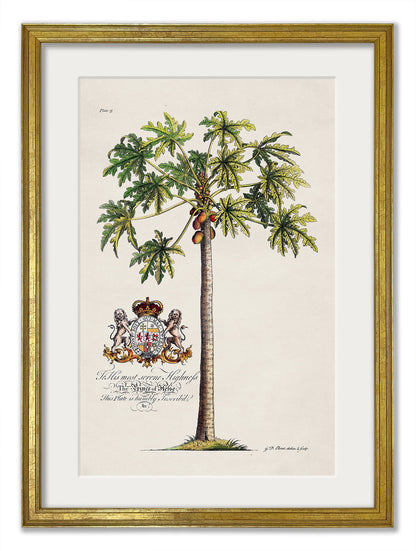 Studies of Palms styled view – Leya Buster Interiors