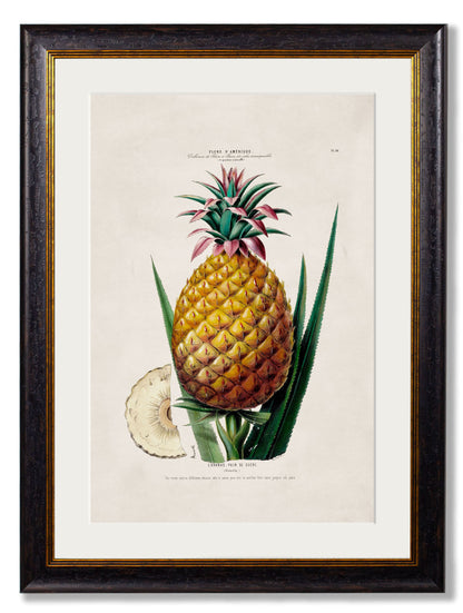 c.1843 Pineapple Plant styled view – Leya Buster Interiors