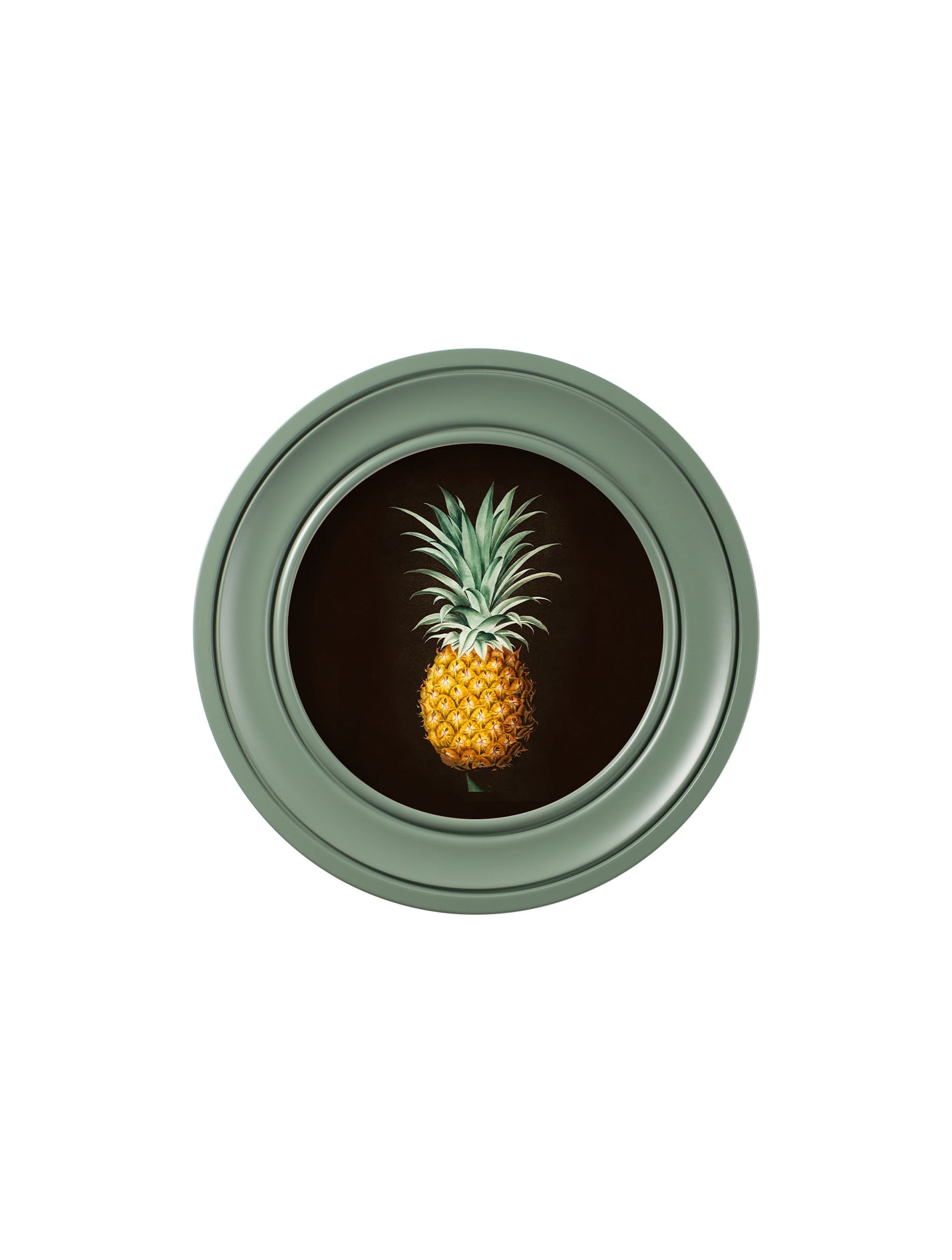 c.1812 Pineapple Study (Black) – Green Round Frame – framed wall art at Leya Buster Interiors