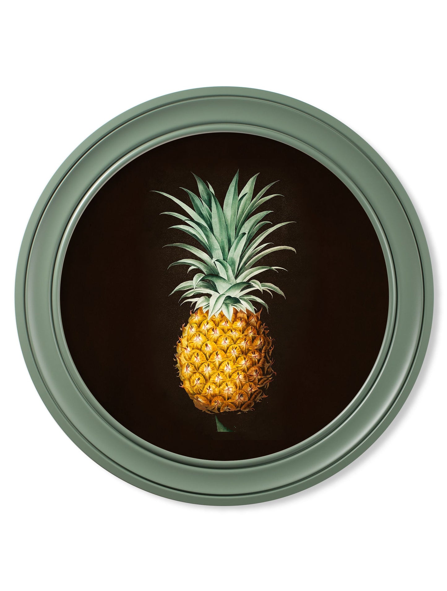 c.1812 Pineapple Study (Black) – Green Round Frame detail – Leya Buster Interiors