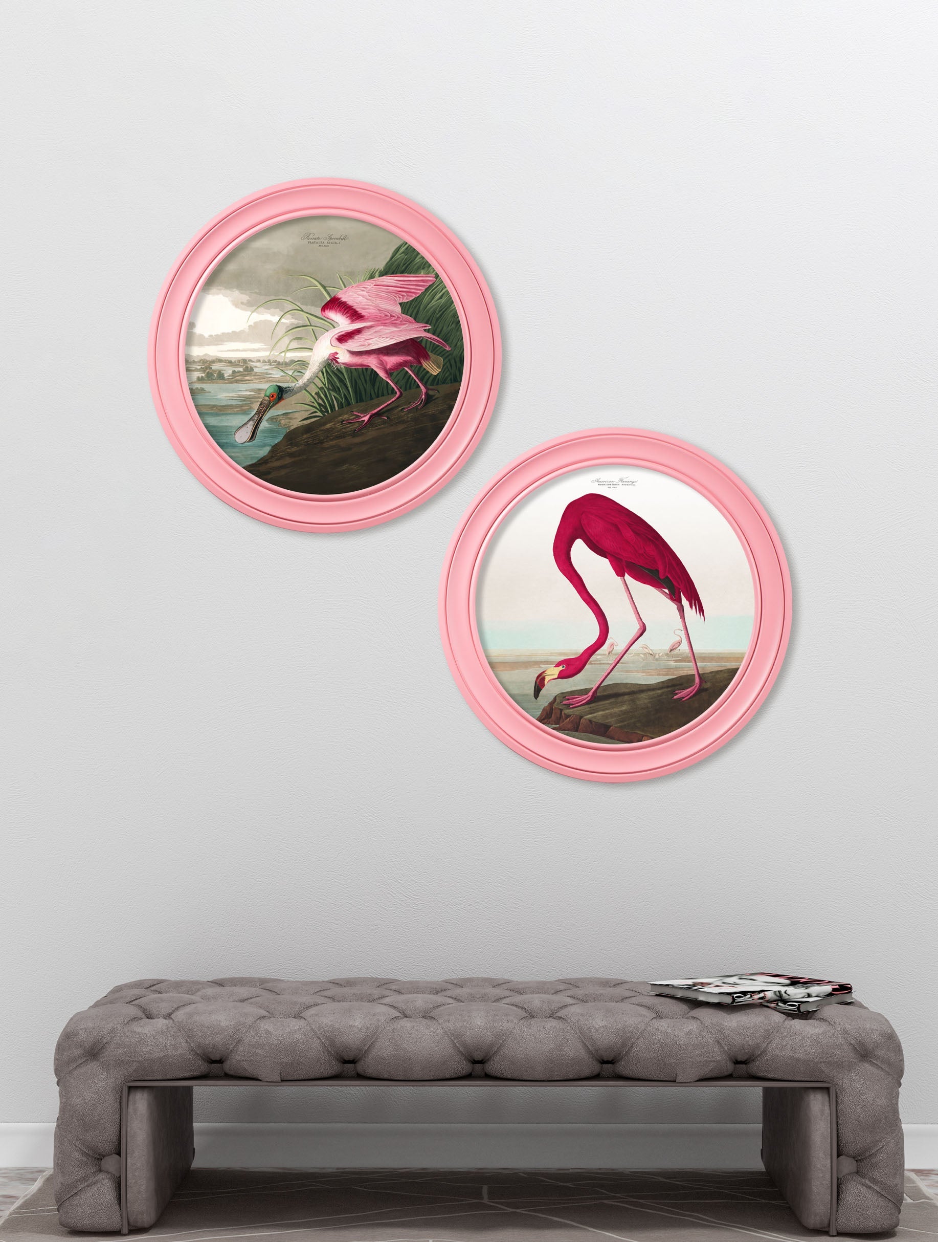 c.1838 Audubon's Flamingo in Pink Frame – framed wall art at Leya Buster Interiors