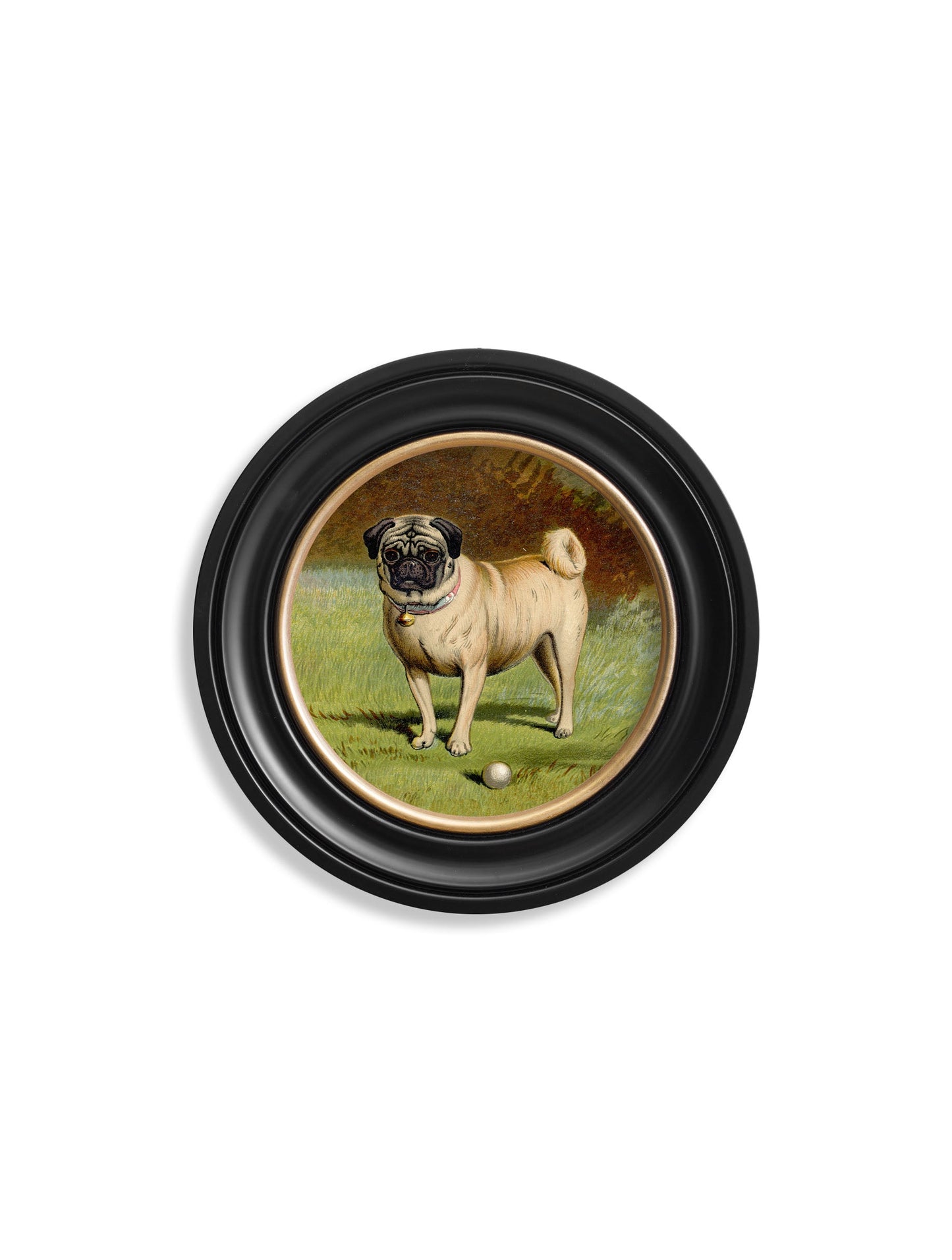 c.1881 Dogs – Round Frame styled view – Leya Buster Interiors