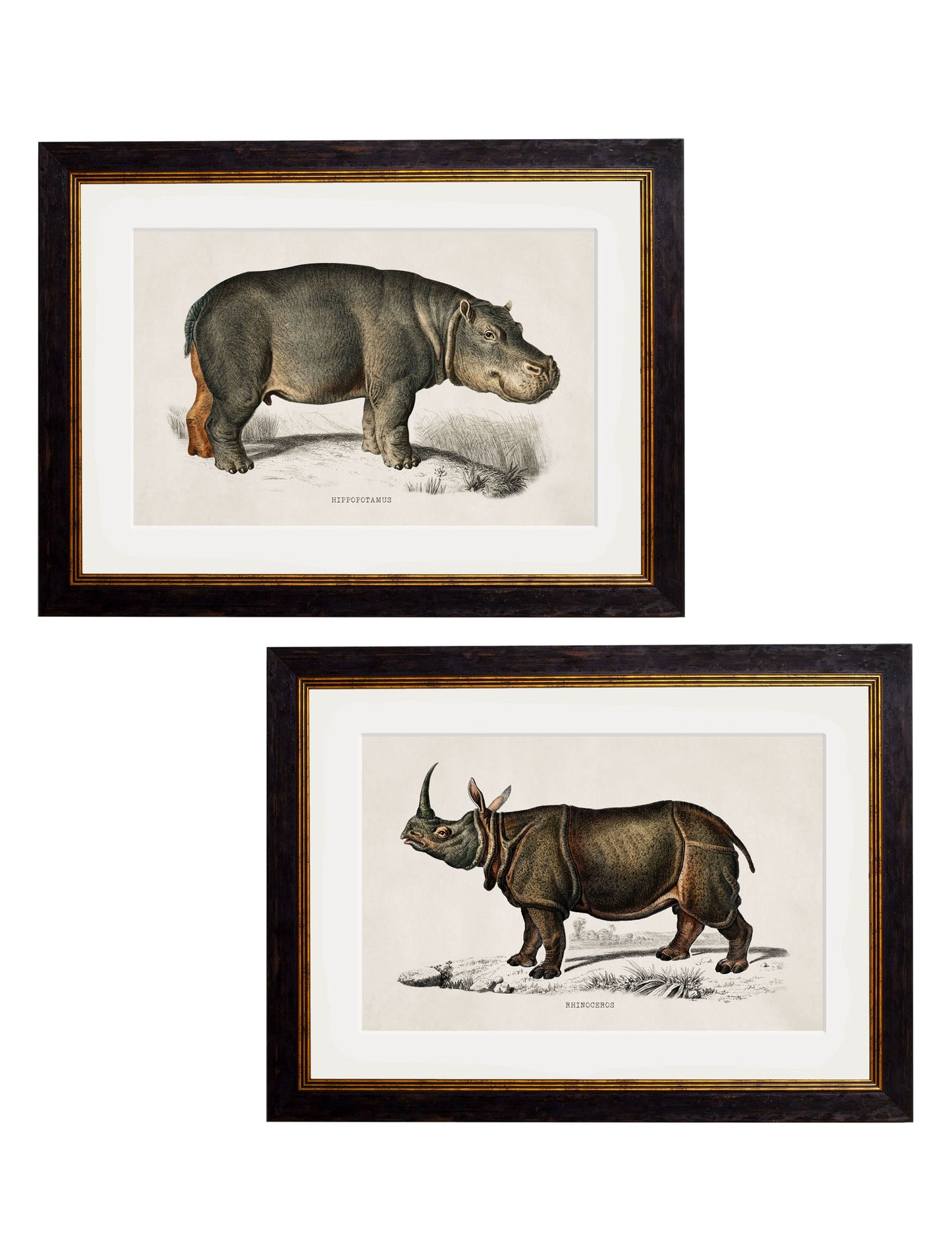 c.1846 Rhino & Hippo detail – Leya Buster Interiors