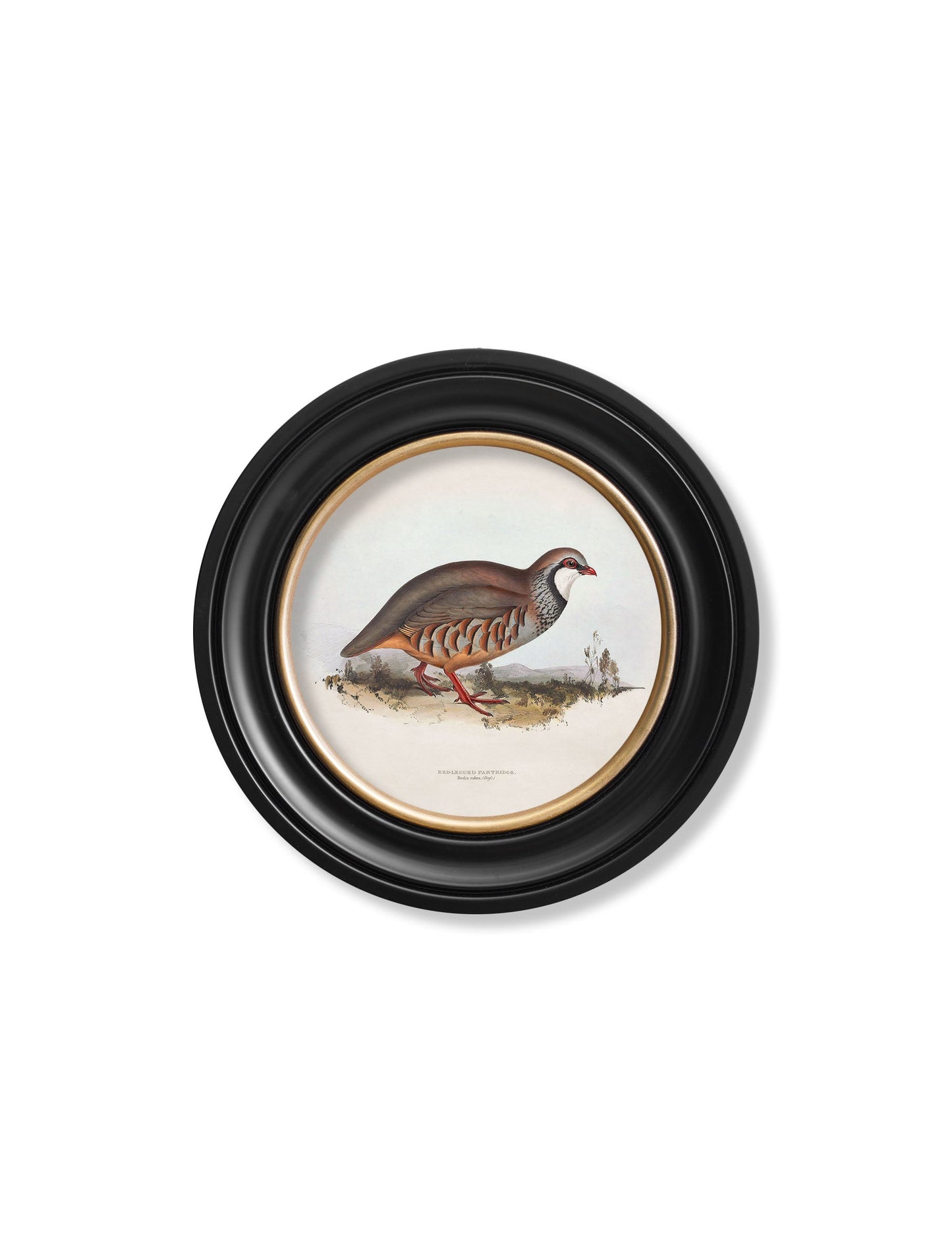 c.1837's British Game Birds – Round styled view – Leya Buster Interiors