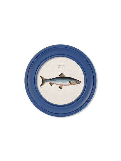 c.1785 Studies of Salmon – Round Frame Blue styled view – Leya Buster Interiors