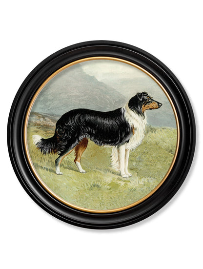 c.1881 Working Dogs – Round Frame styled view – Leya Buster Interiors