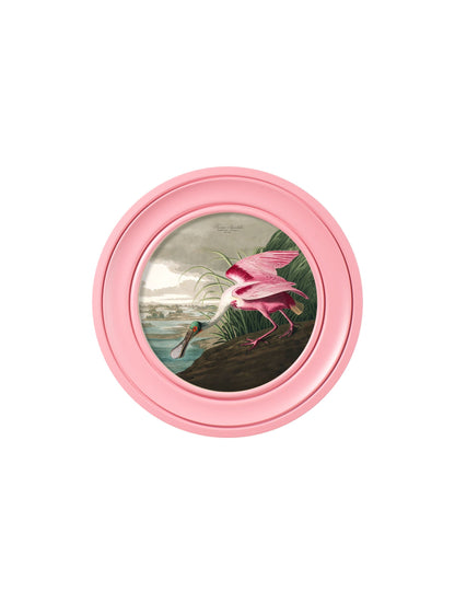 c.1838 Audubon's Spoonbill in Pink Frame styled view – Leya Buster Interiors