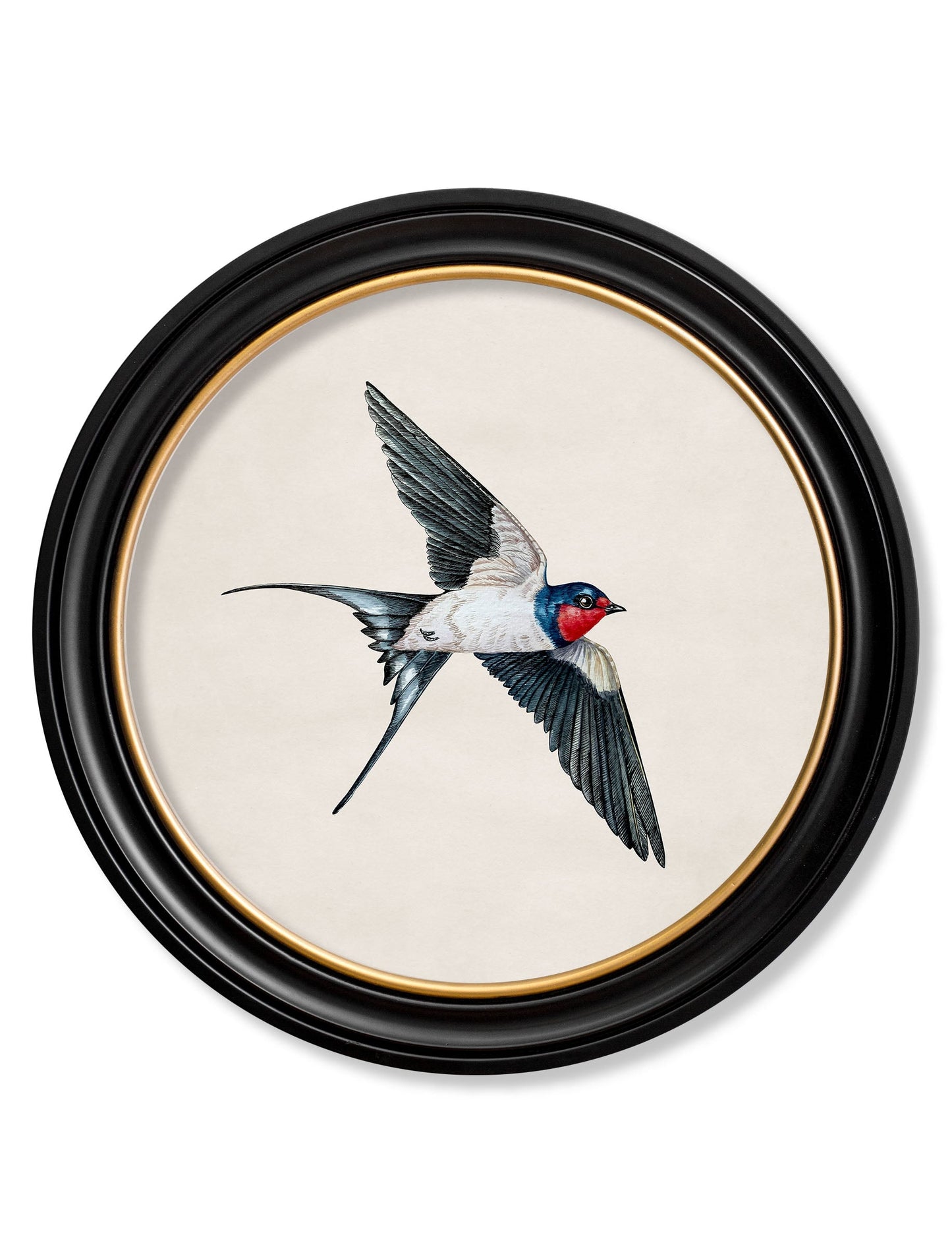 c.1875 Swallows in Round Frames styled view – Leya Buster Interiors