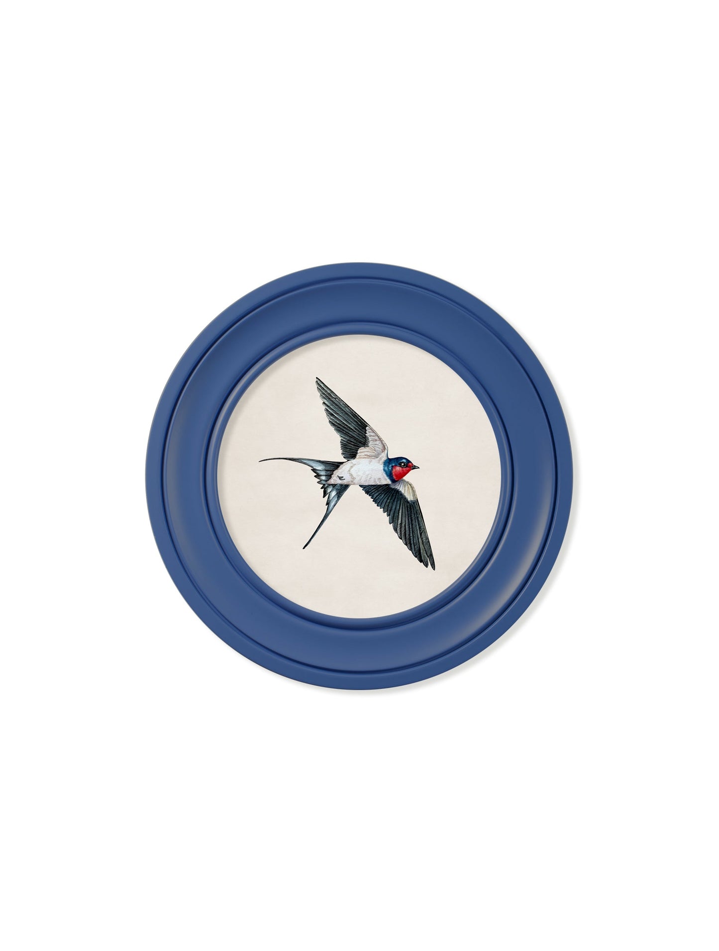 c.1875 Swallows in Round Frames Blue styled view – Leya Buster Interiors
