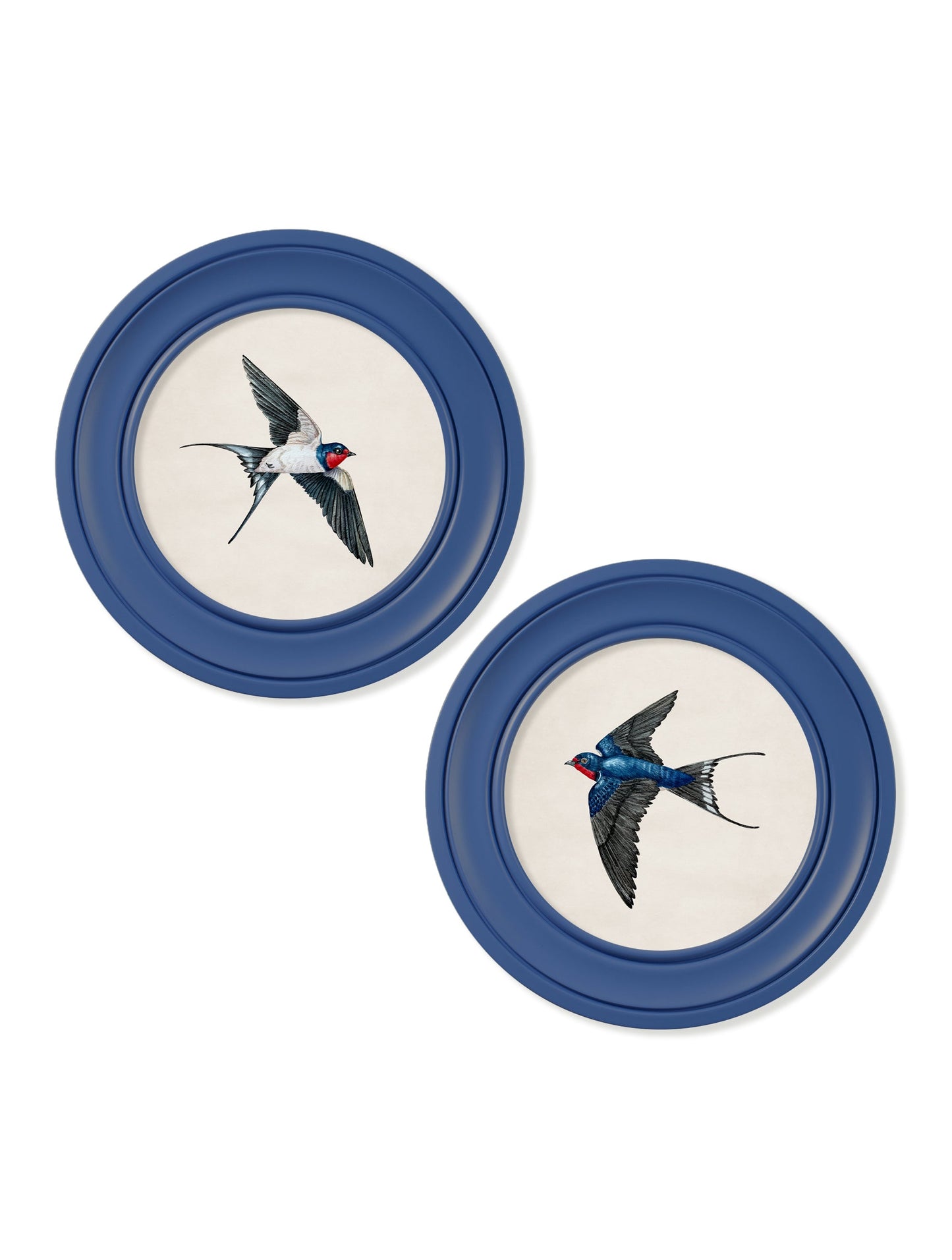c.1875 Swallows in Round Frames Blue – framed wall art at Leya Buster Interiors