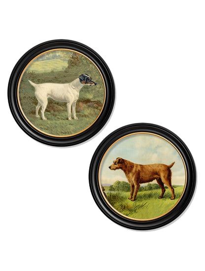 c.1881 Terriers – Round Frame detail – Leya Buster Interiors