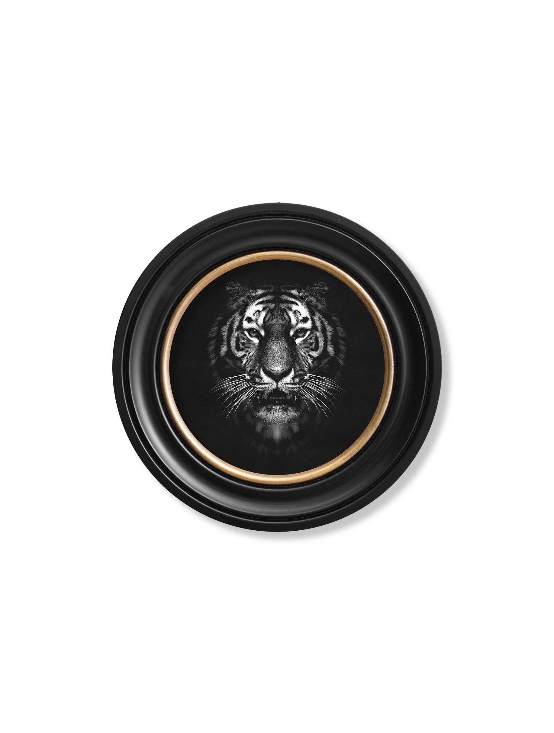 Wildlife Photography – Tiger – Round Frame styled view – Leya Buster Interiors