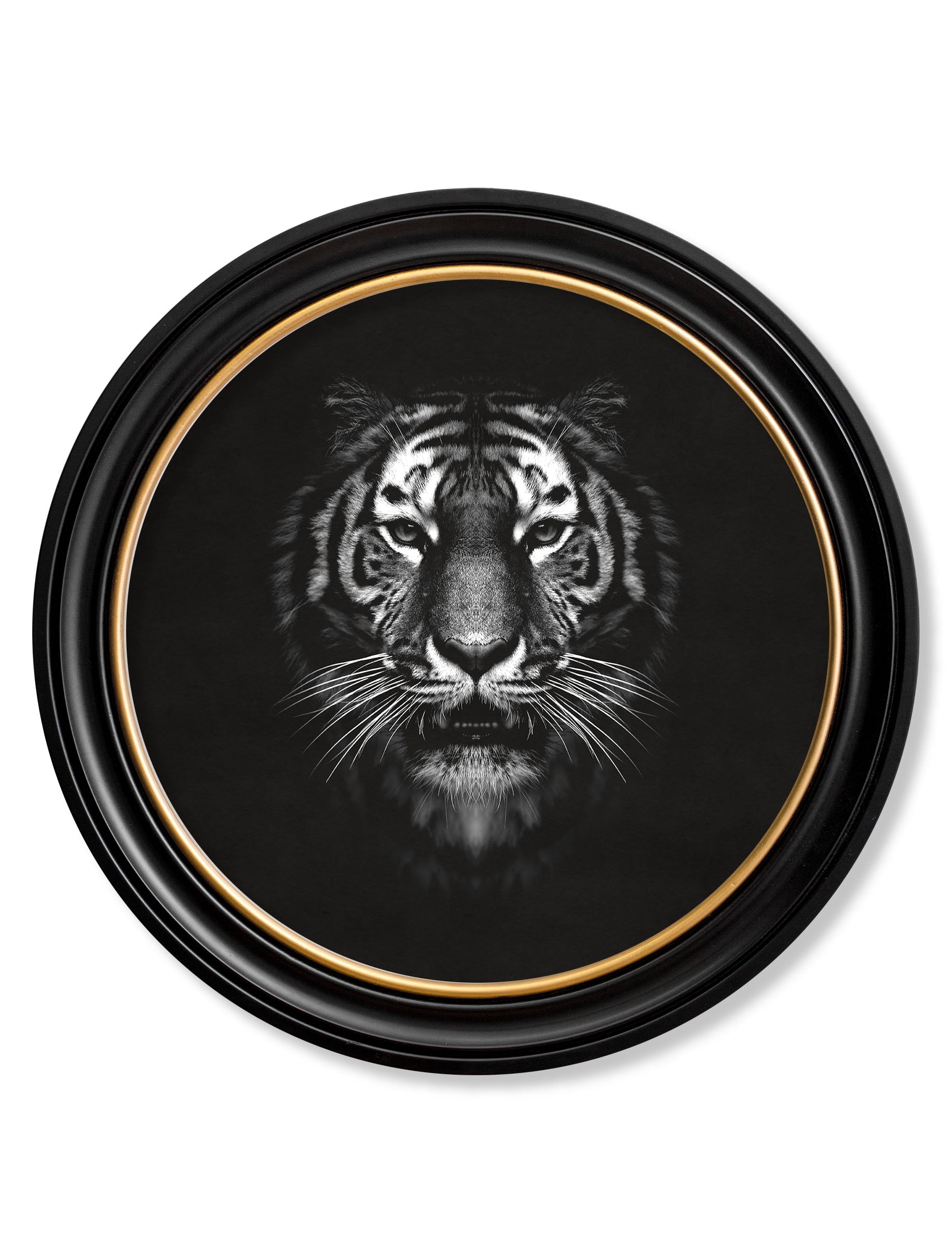 Wildlife Photography – Tiger – Round Frame detail – Leya Buster Interiors