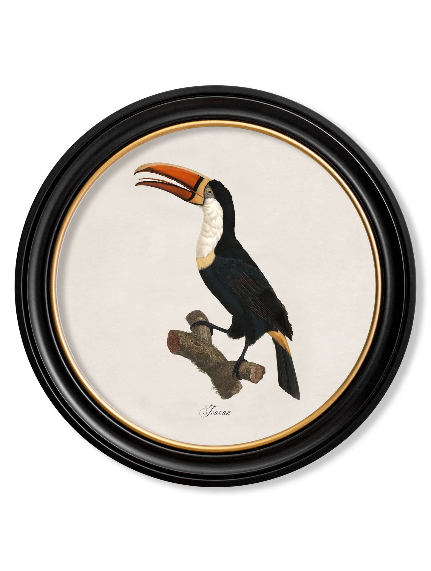 c.1809 Toucans – Round Frame styled view – Leya Buster Interiors