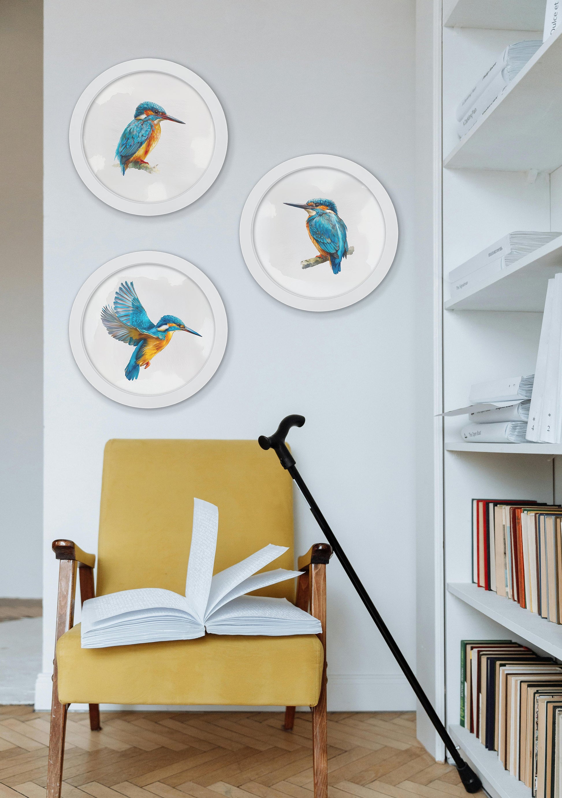 Watercolour Kingfishers – 30cm White Round Box Frame – framed wall art at Leya Buster Interiors