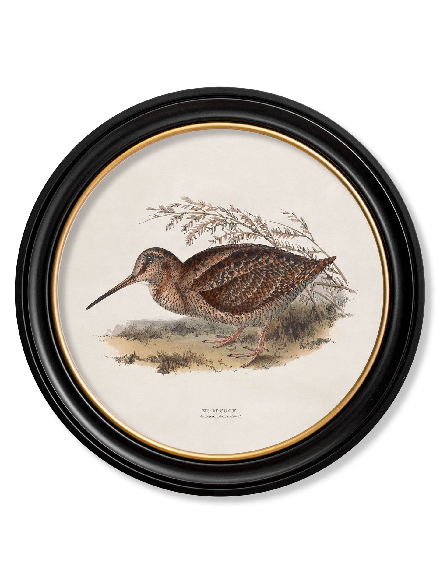 c.1837's British Game Birds – Round styled view – Leya Buster Interiors