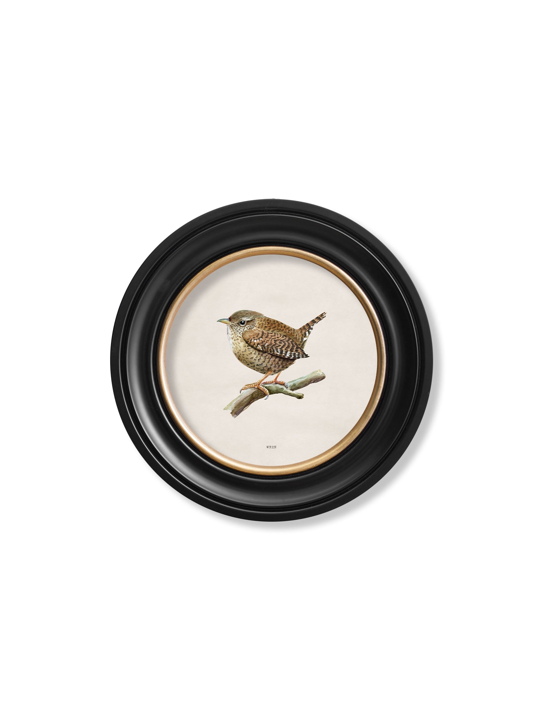 Wren in Round Frame styled view – Leya Buster Interiors