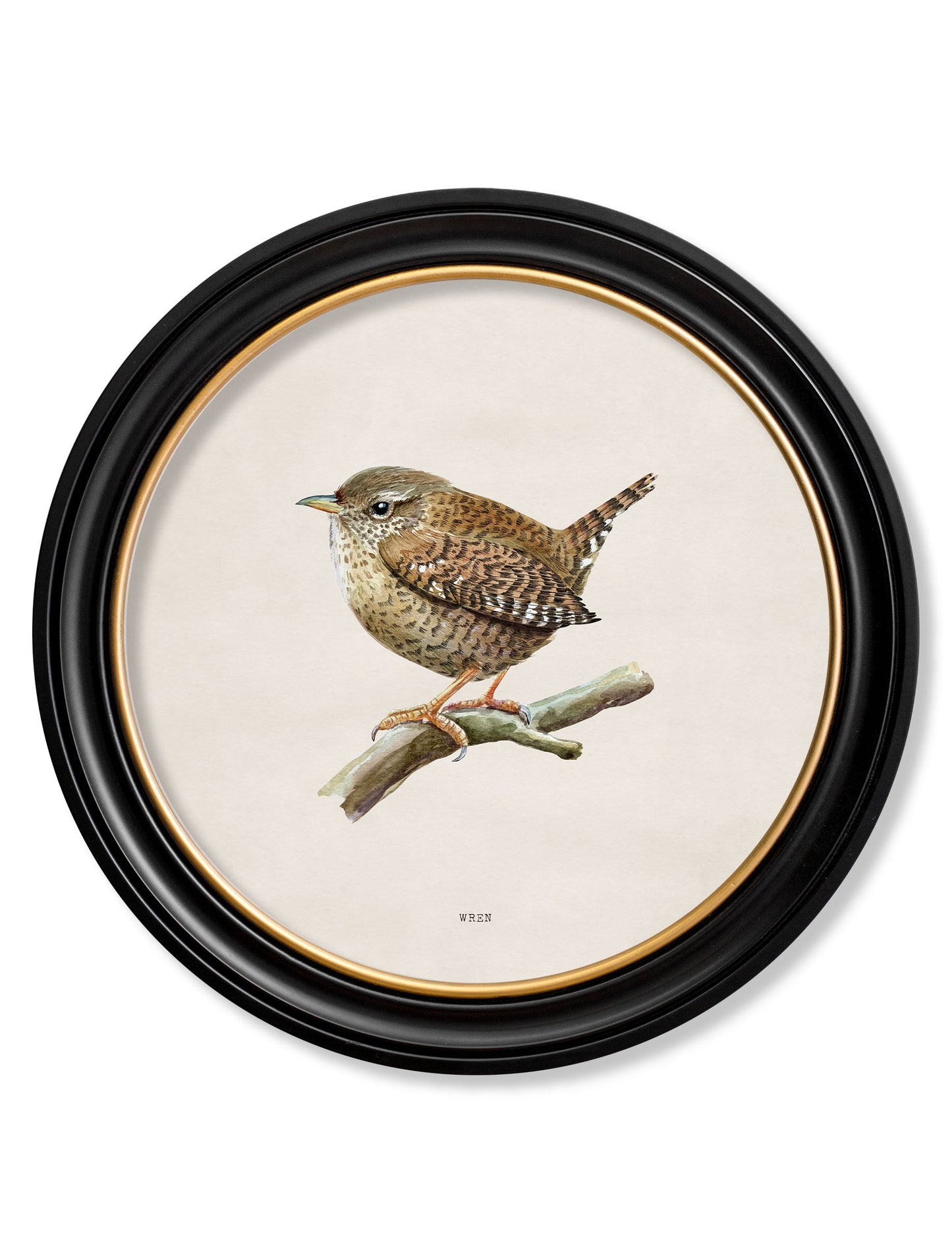 Wren in Round Frame detail – Leya Buster Interiors