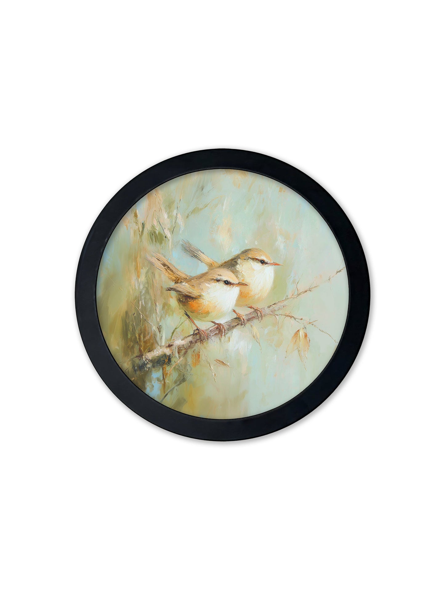 Garden Birds – 30cm Black Round Box Frame styled view – Leya Buster Interiors