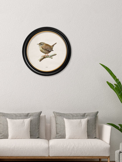 Wren in Round Frame – framed wall art at Leya Buster Interiors