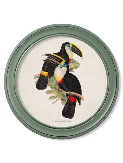 c.1848 Toucans – Round Frames Green styled view – Leya Buster Interiors