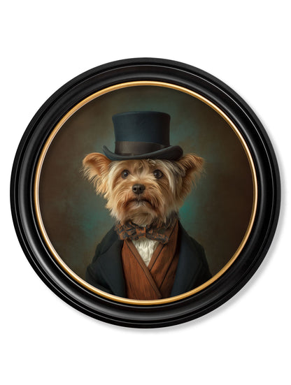 Lord Barkley of York – Gentleman Yorkshire Terrier Oxford Round Frame detail – Leya Buster Interiors