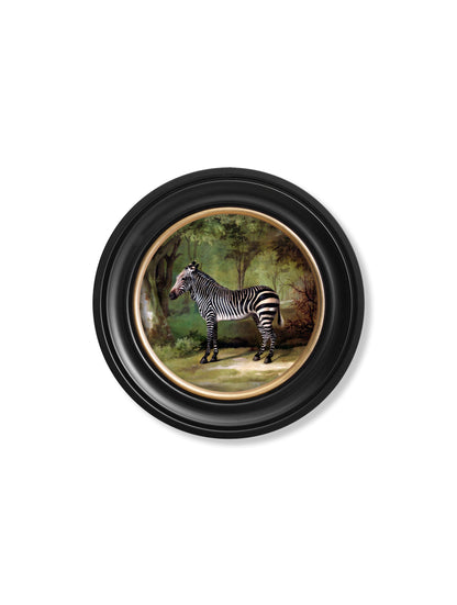 c.1763 George Stubb's Zebra – Round Frame styled view – Leya Buster Interiors