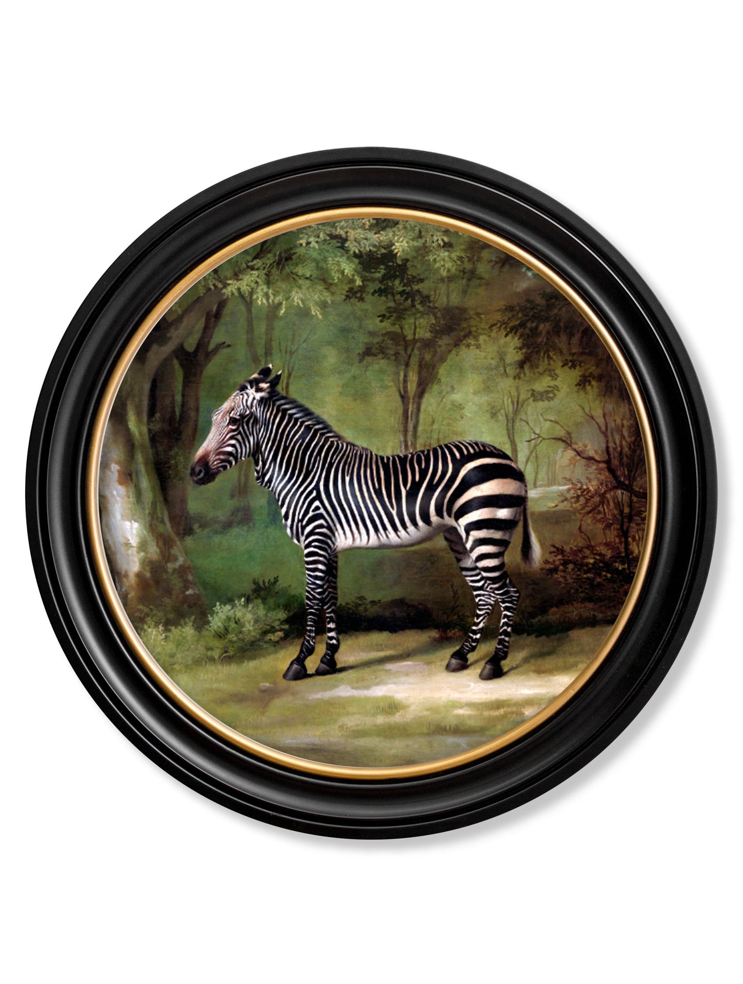 c.1763 George Stubb's Zebra – Round Frame detail – Leya Buster Interiors