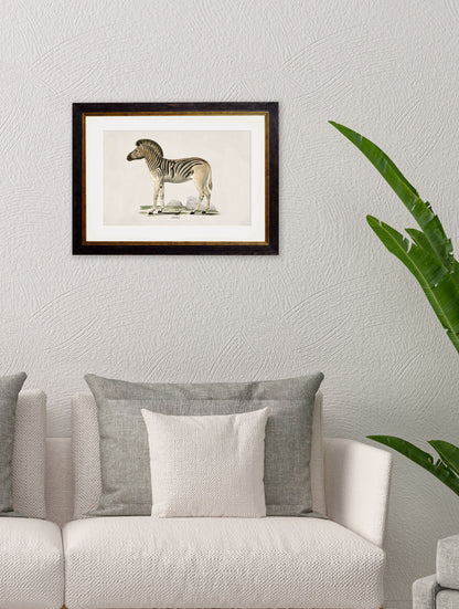 c.1774 Zebra – framed wall art at Leya Buster Interiors