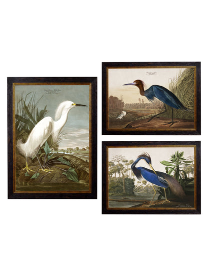c.1838 Audubon's Herons detail – Leya Buster Interiors