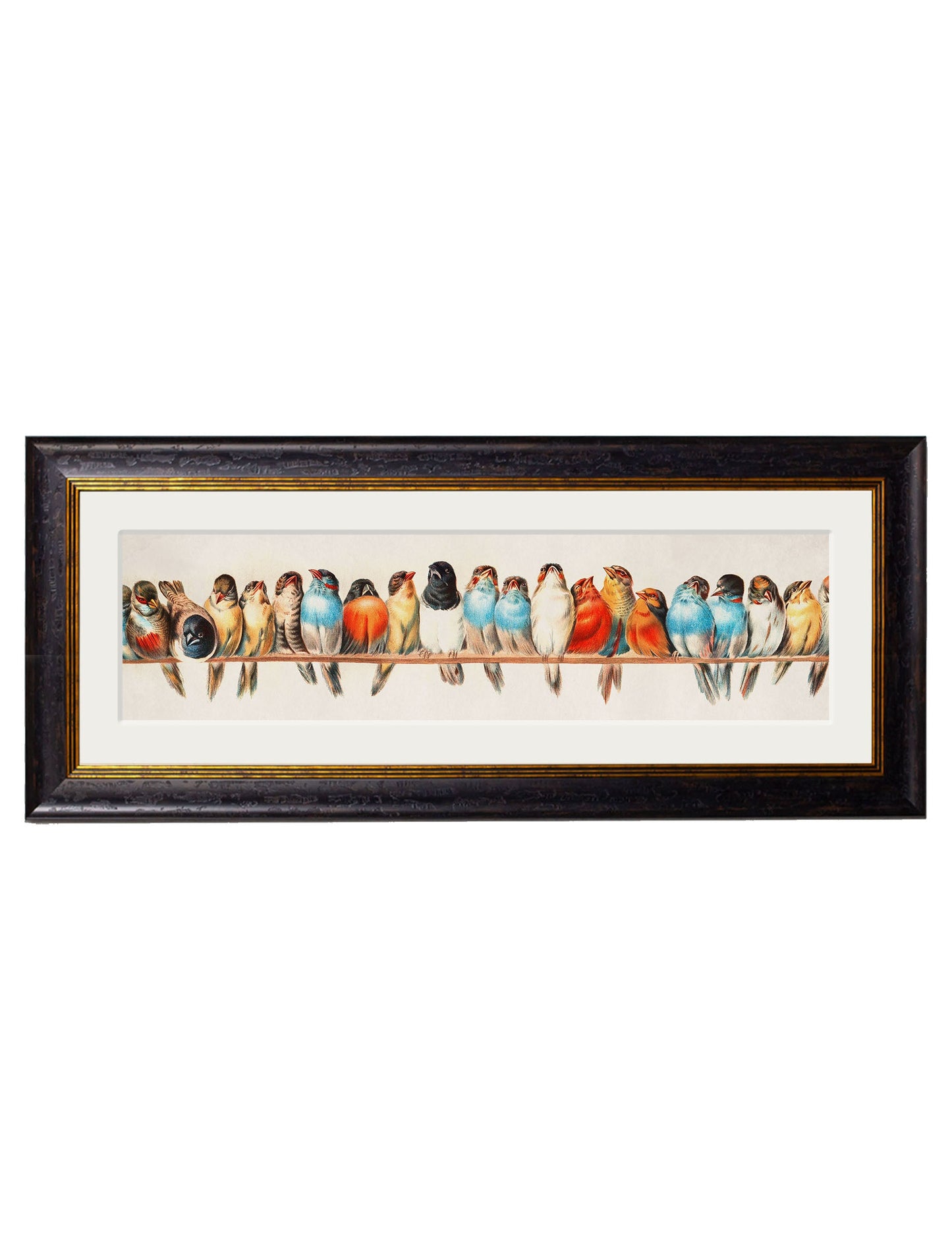 Birds on a Wire Panorama by Hector Giacomelli detail – Leya Buster Interiors