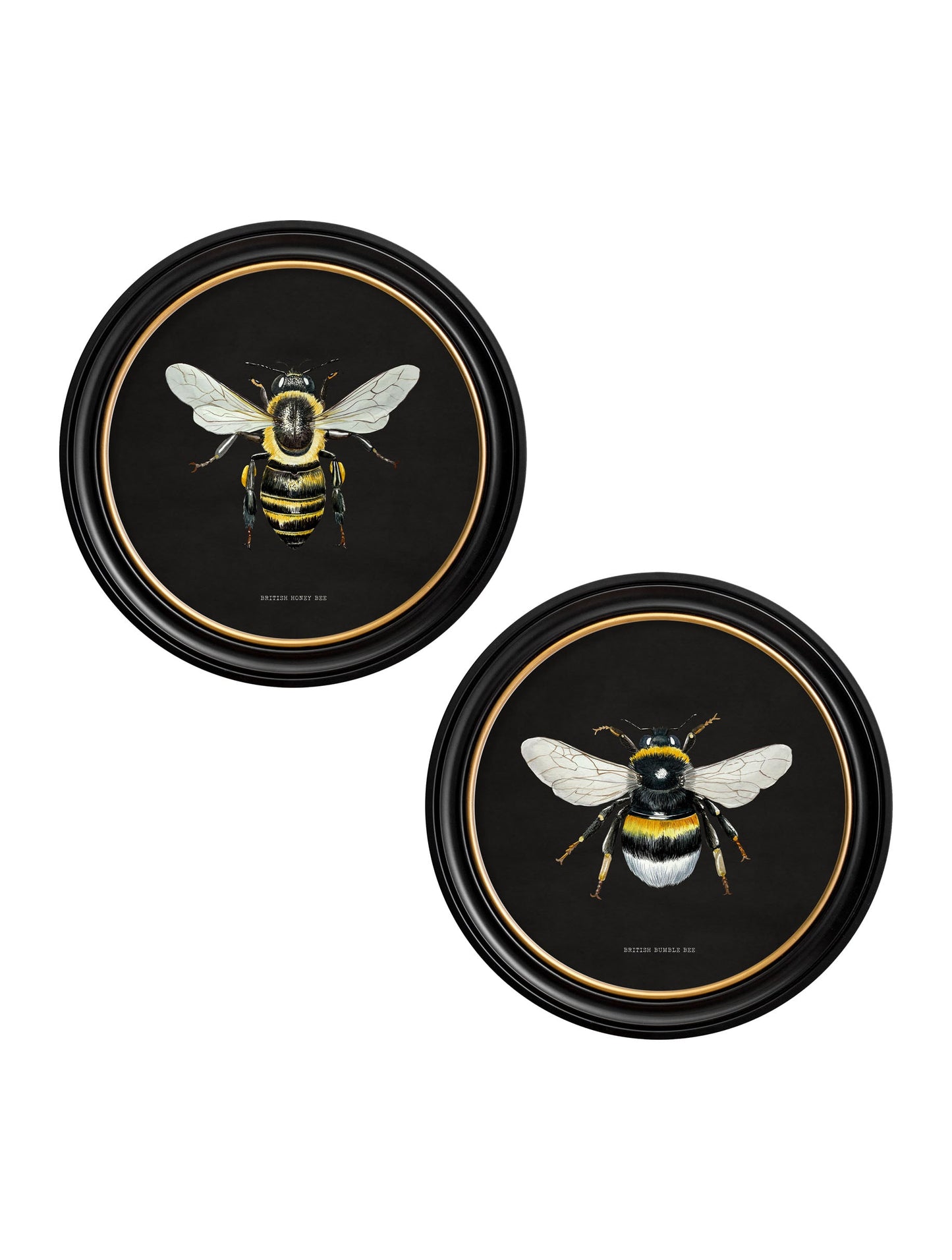 c892 British Bees Round Frame – Dark detail – Leya Buster Interiors