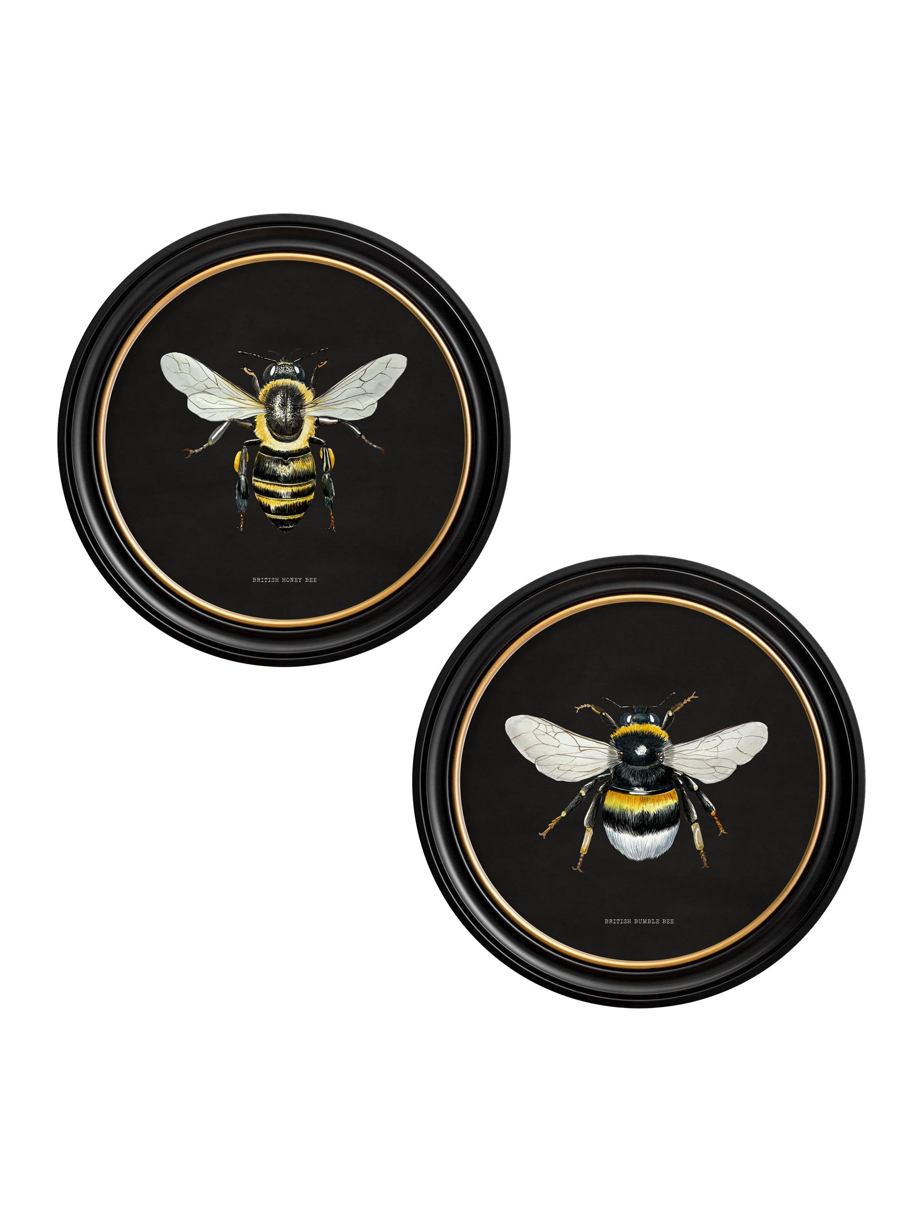 c892 British Bees Round Frame – Dark detail – Leya Buster Interiors