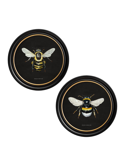 c892 British Bees Round Frame – Dark detail – Leya Buster Interiors