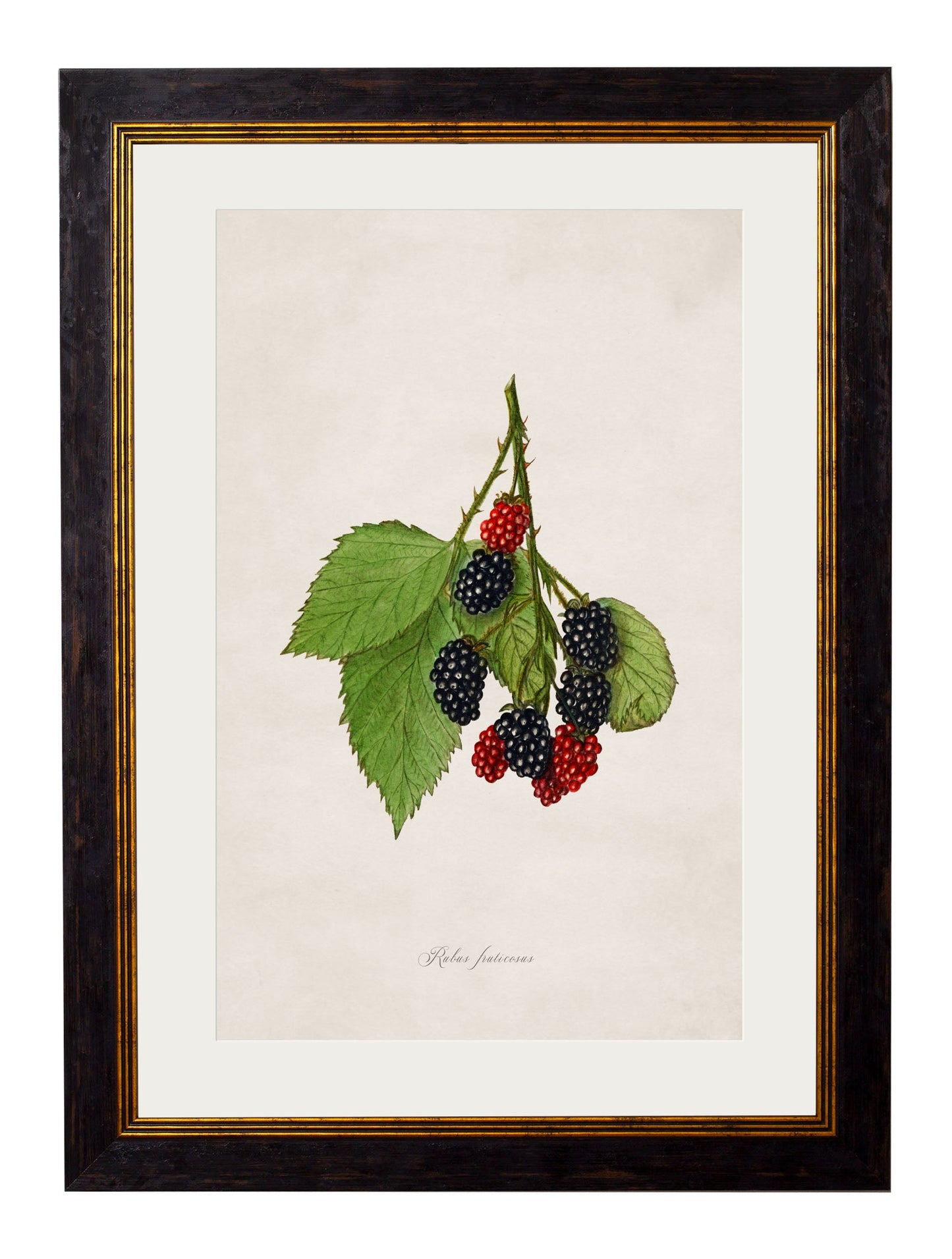 c.1886 Study of Berries & Cherries styled view – Leya Buster Interiors