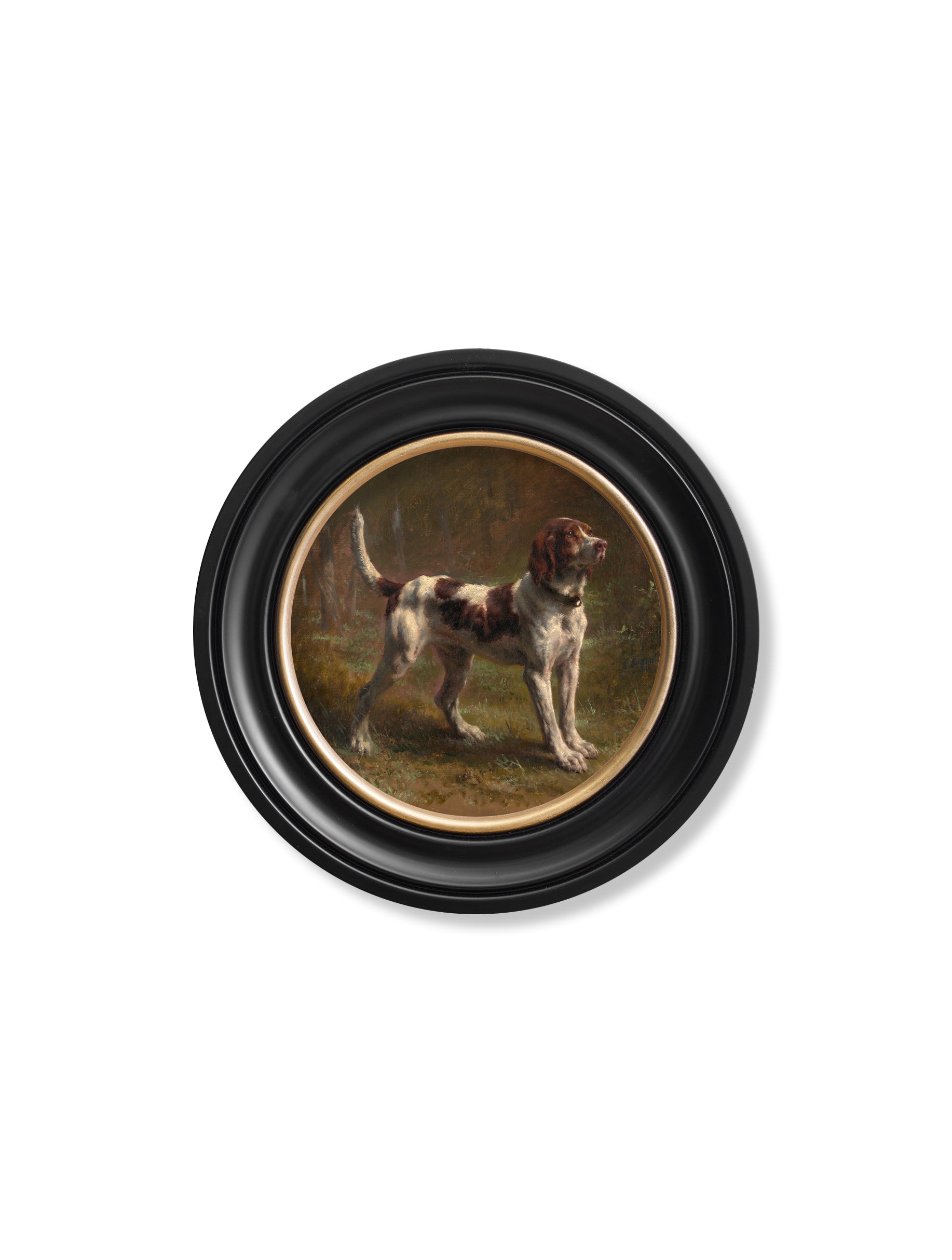 c.1856 Beagle Bloodhound – Round Frame – framed wall art at Leya Buster Interiors