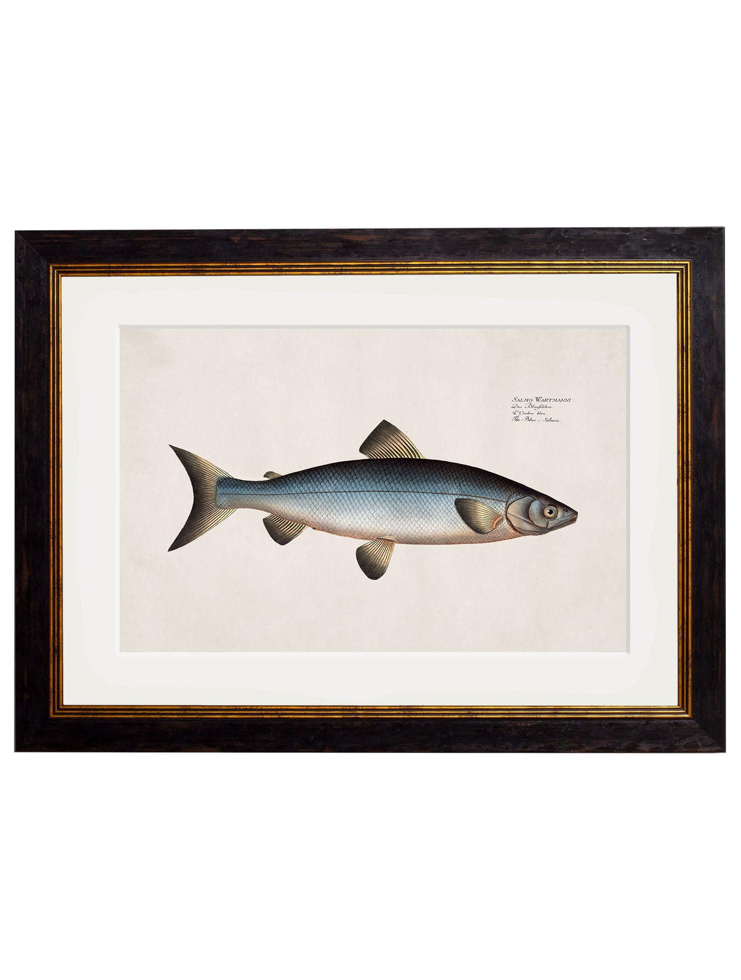 c.1785 Studies of Salmon styled view – Leya Buster Interiors