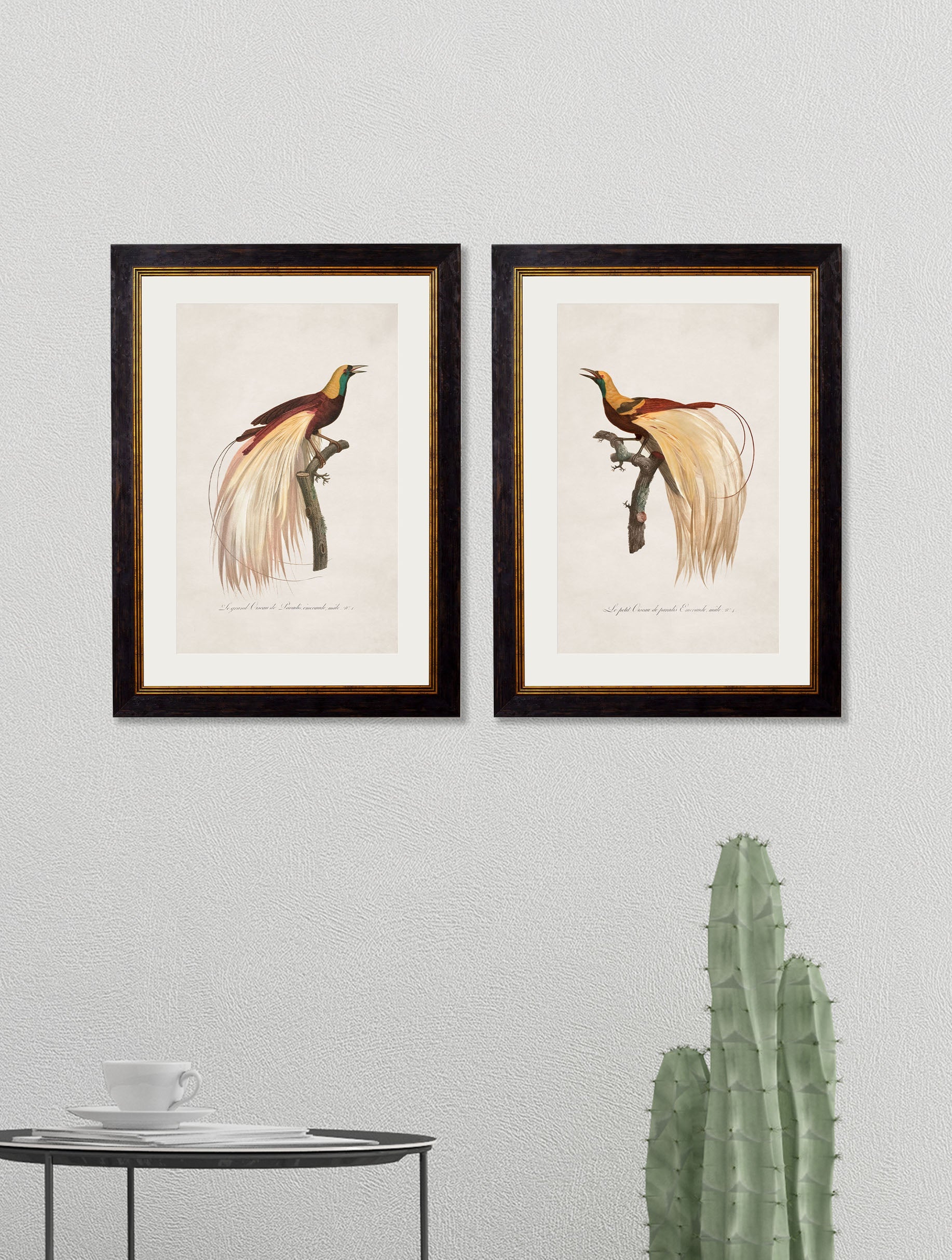 c.1809 Birds of Paradise – framed wall art at Leya Buster Interiors