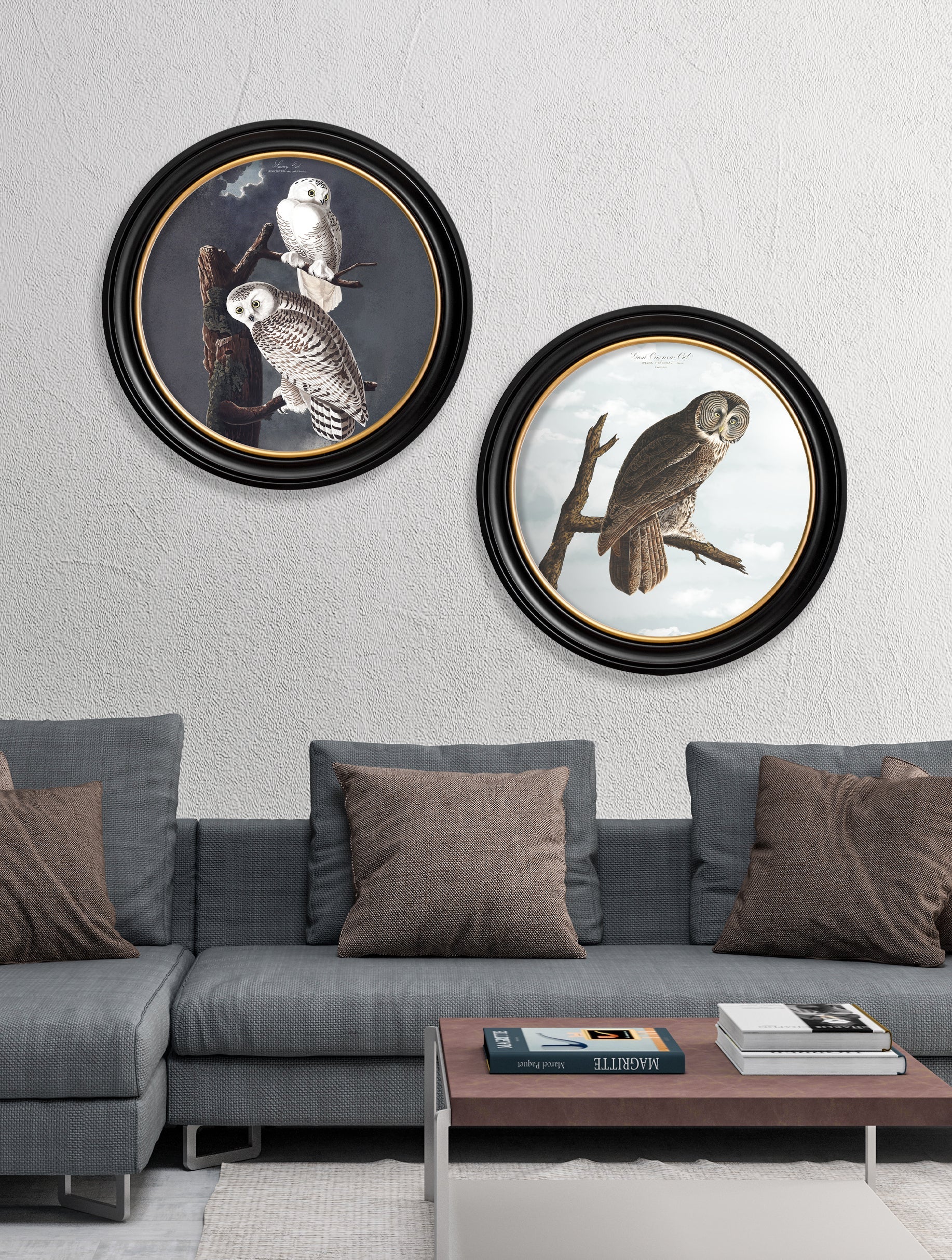 c.1838 Audubon's Owls – Round Frame – framed wall art at Leya Buster Interiors