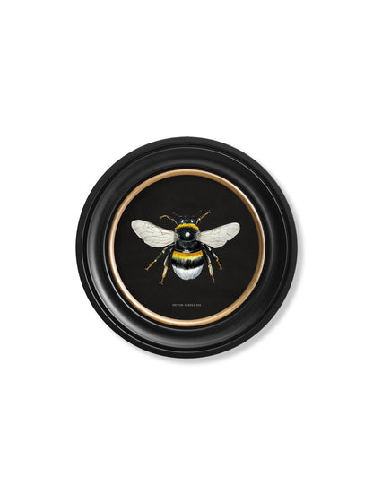 c892 British Bees Round Frame – Dark styled view – Leya Buster Interiors