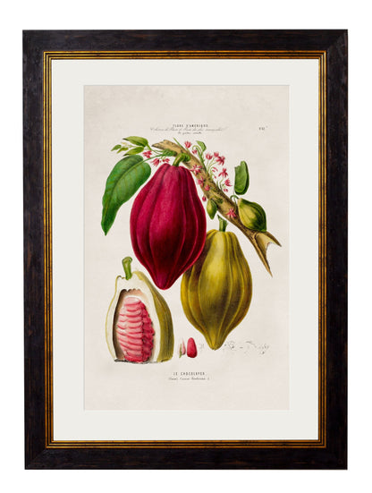 c.1843 Chocolate Plant detail – Leya Buster Interiors